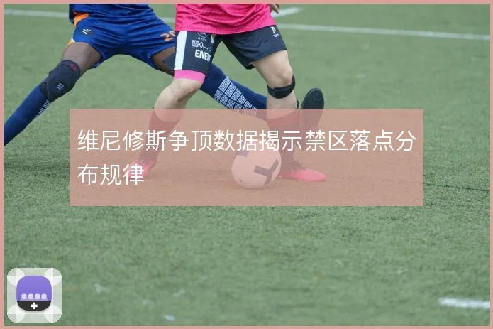 维尼修斯争顶数据揭示禁区落点分布规律