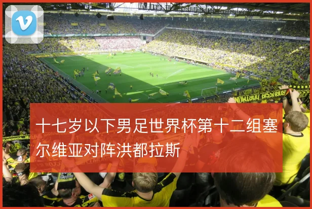 十七岁以下男足世界杯第十二组塞尔维亚对阵洪都拉斯