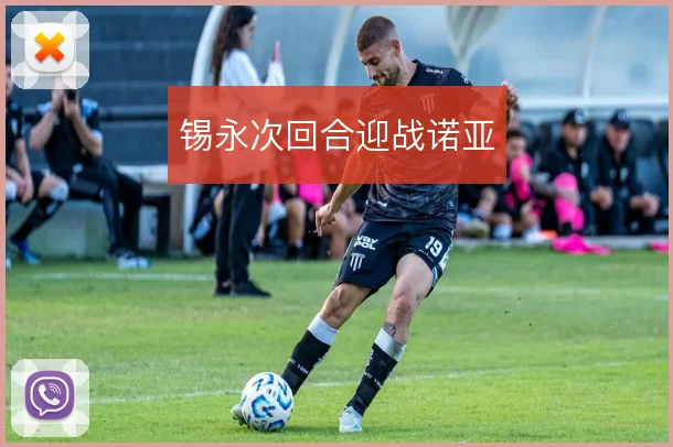 锡永次回合迎战诺亚
