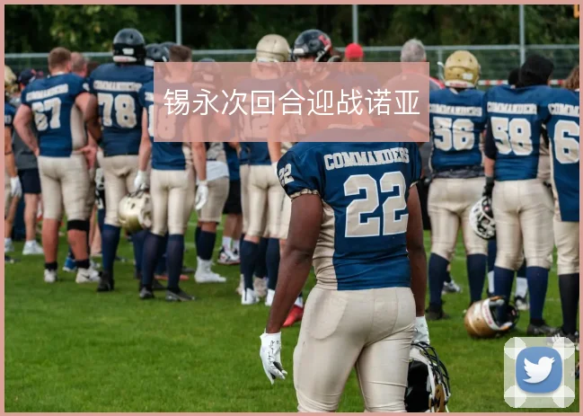 锡永次回合迎战诺亚