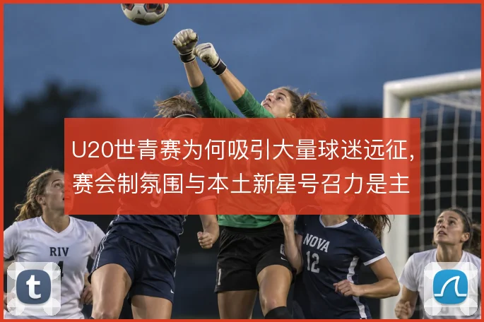 U20世青赛为何吸引大量球迷远征,赛会制氛围与本土新星号召力是主因